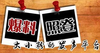 新媒体最新爆料,新媒体最新爆料，带你走进神秘事件背后